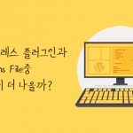 플러그인vsfunctions